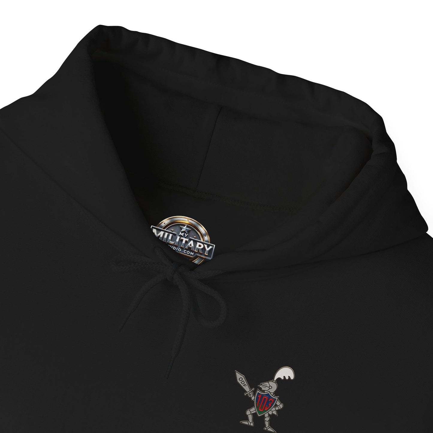 103 SIG Sqn 100th Anniversary Hoodie
