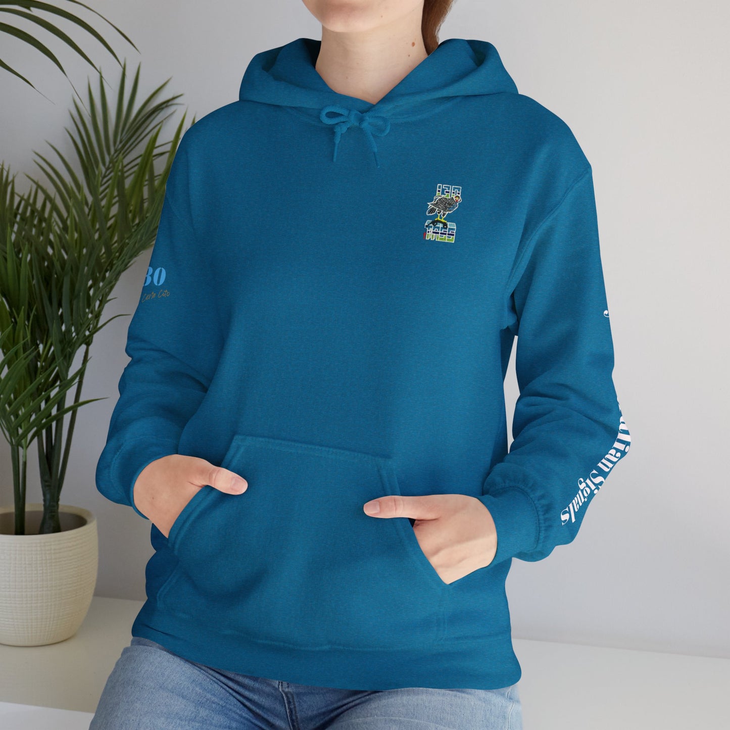 130 SIG SQN 100-Year Anniversary Hoodie – Certa Cito