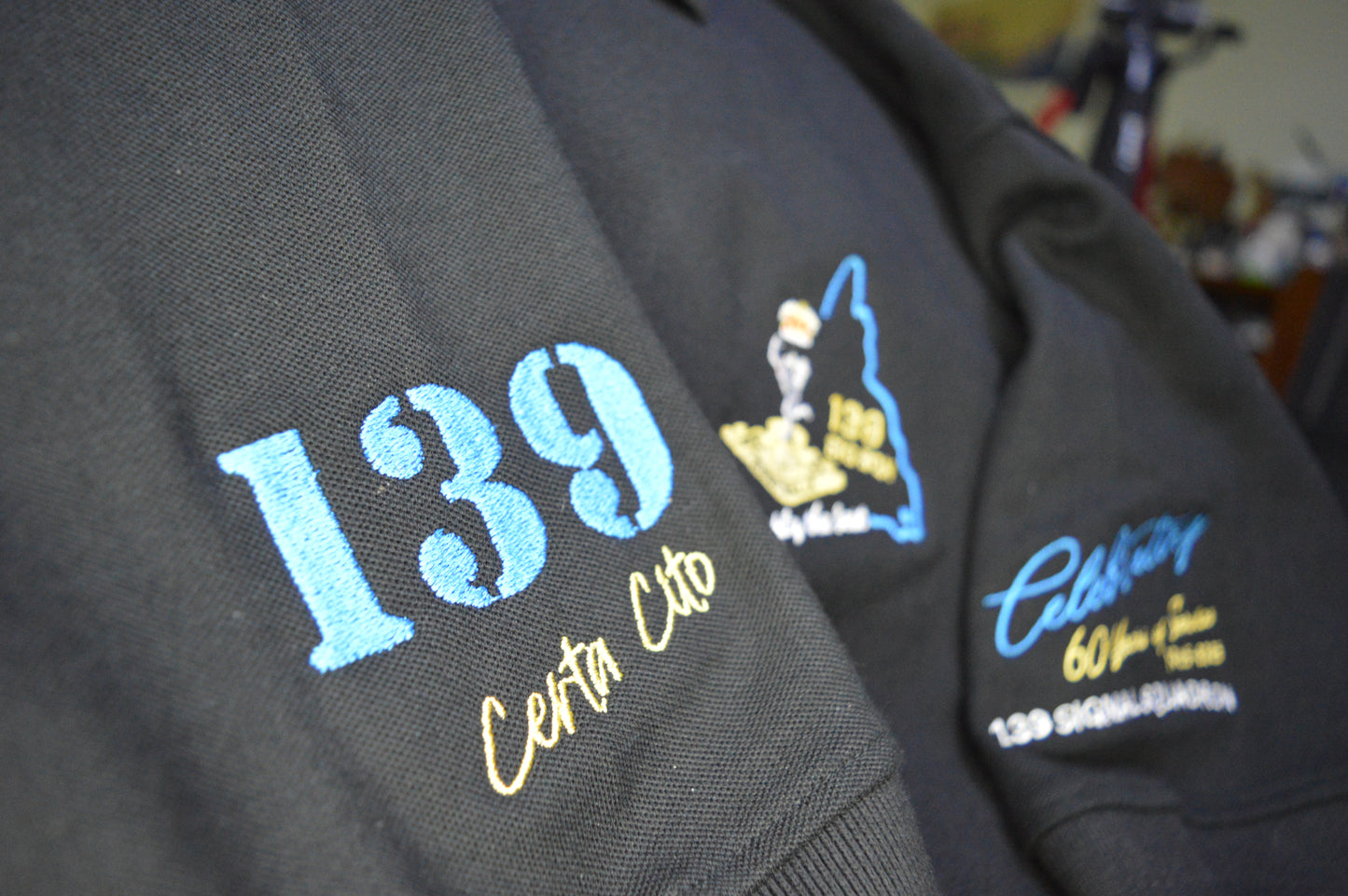 139 SIG SQN - Celebrate 60 Years of Excellence – 1965–2025