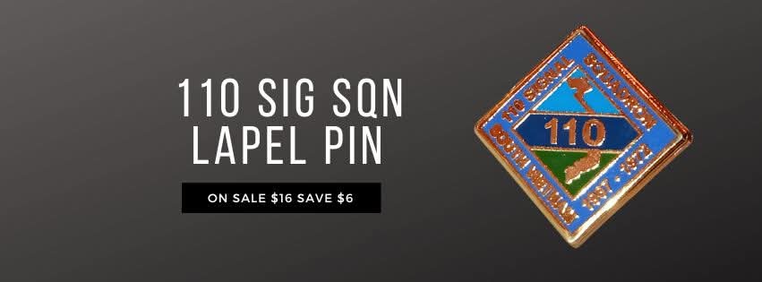 110 SIGNAL SQUADRON β HARD ENAMEL LAPEL PIN π»π³