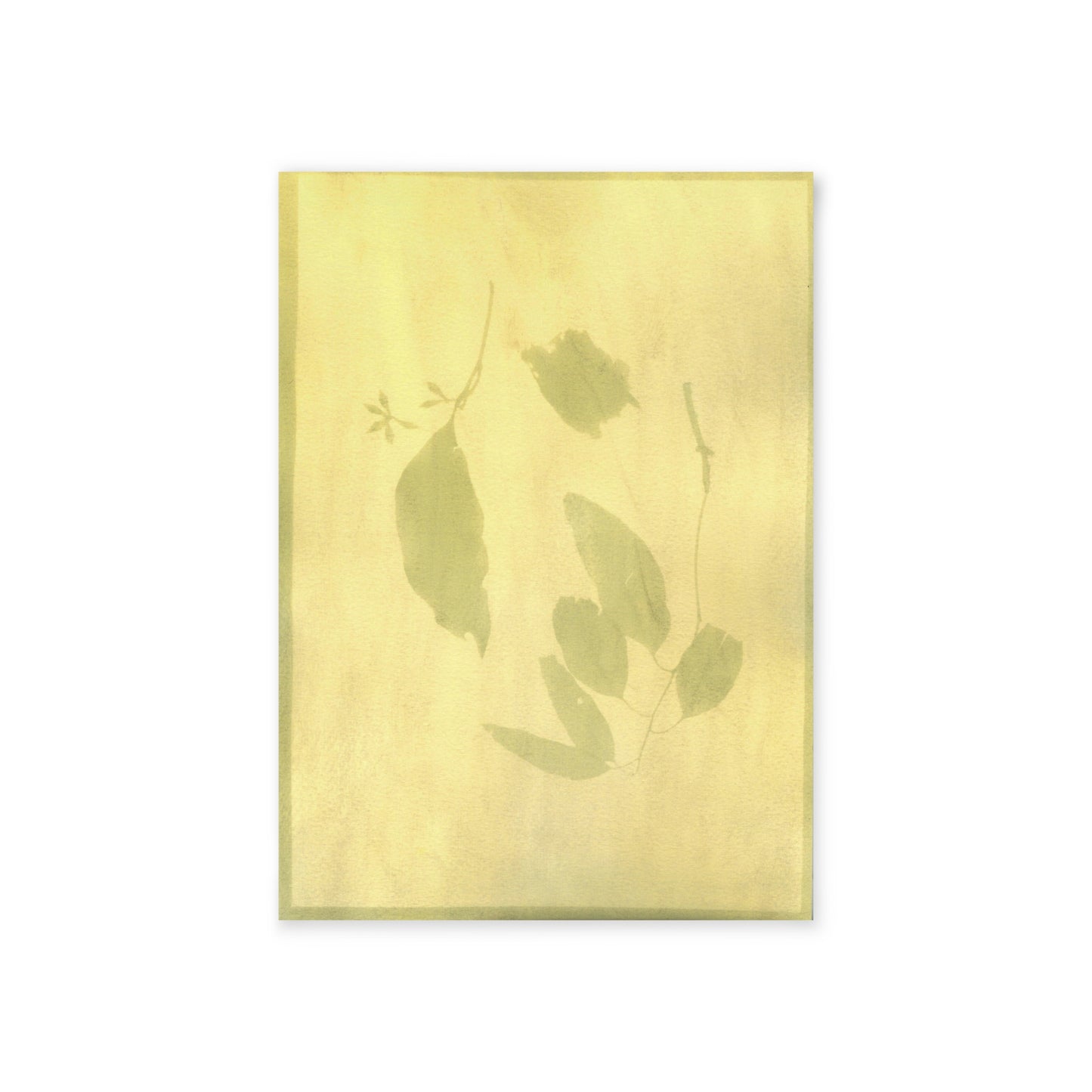 Artistic One-Sided Holiday Cards – Organic Anthotype Green Floral Design