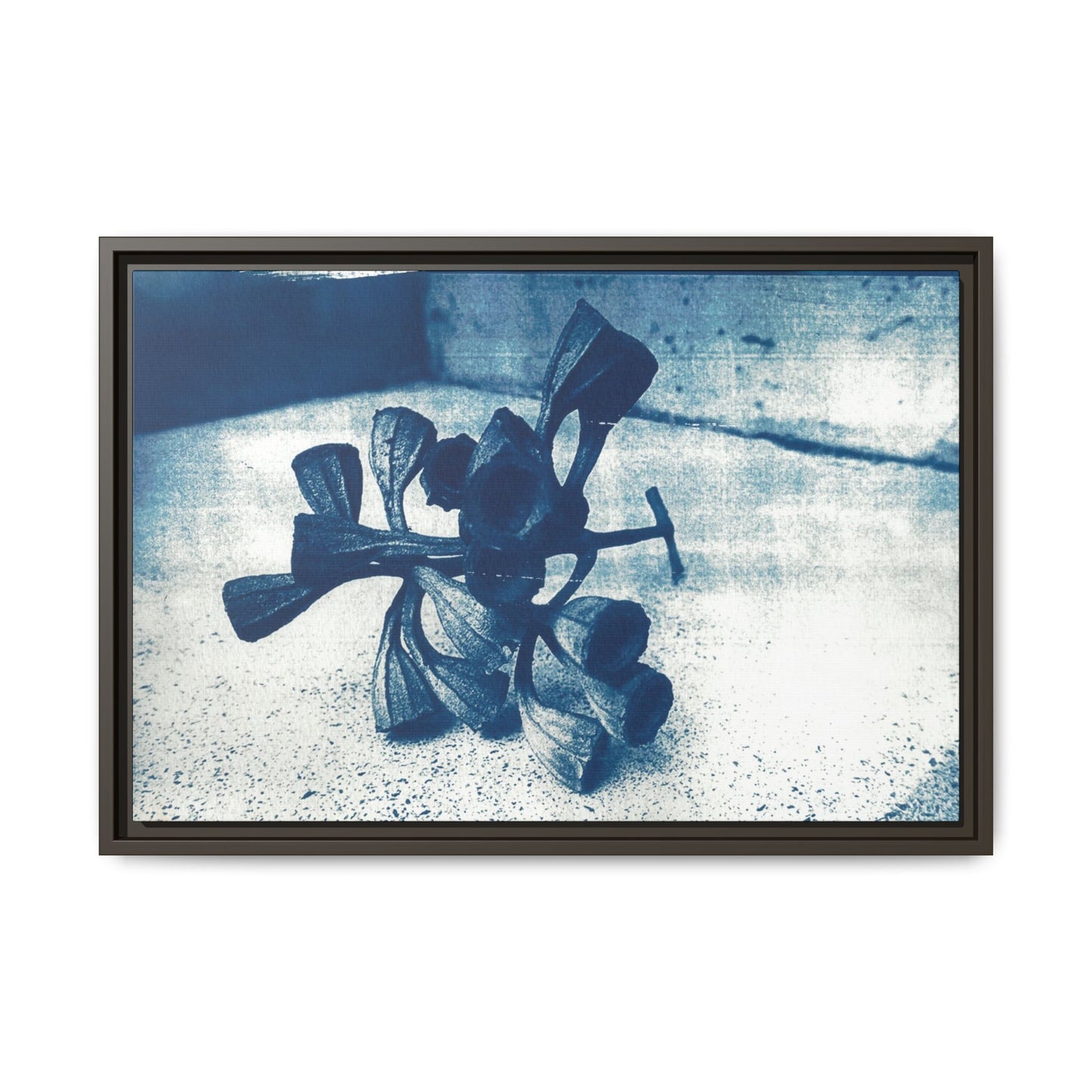 🌿 Gum Nut Form – Cyanotype Botanical Art by Wendy Seymour