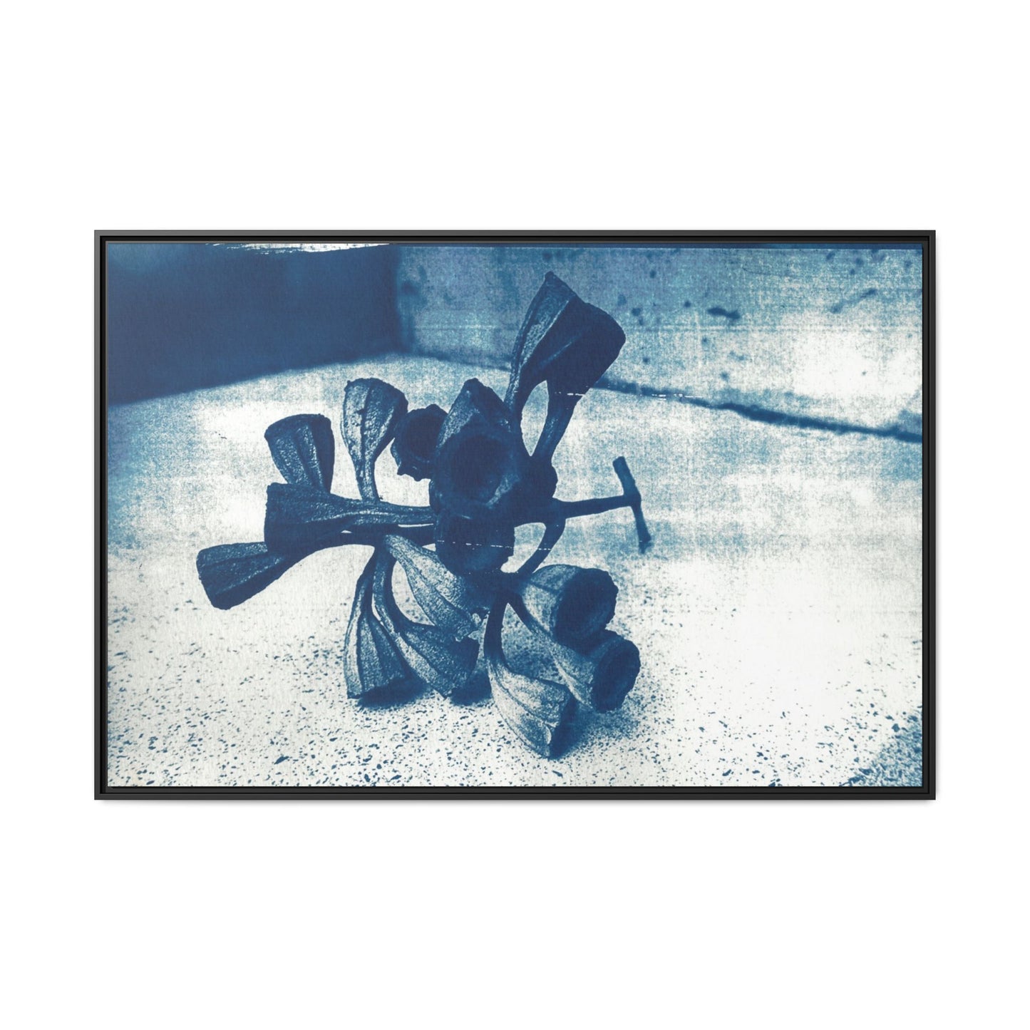 🌿 Gum Nut Form – Cyanotype Botanical Art by Wendy Seymour