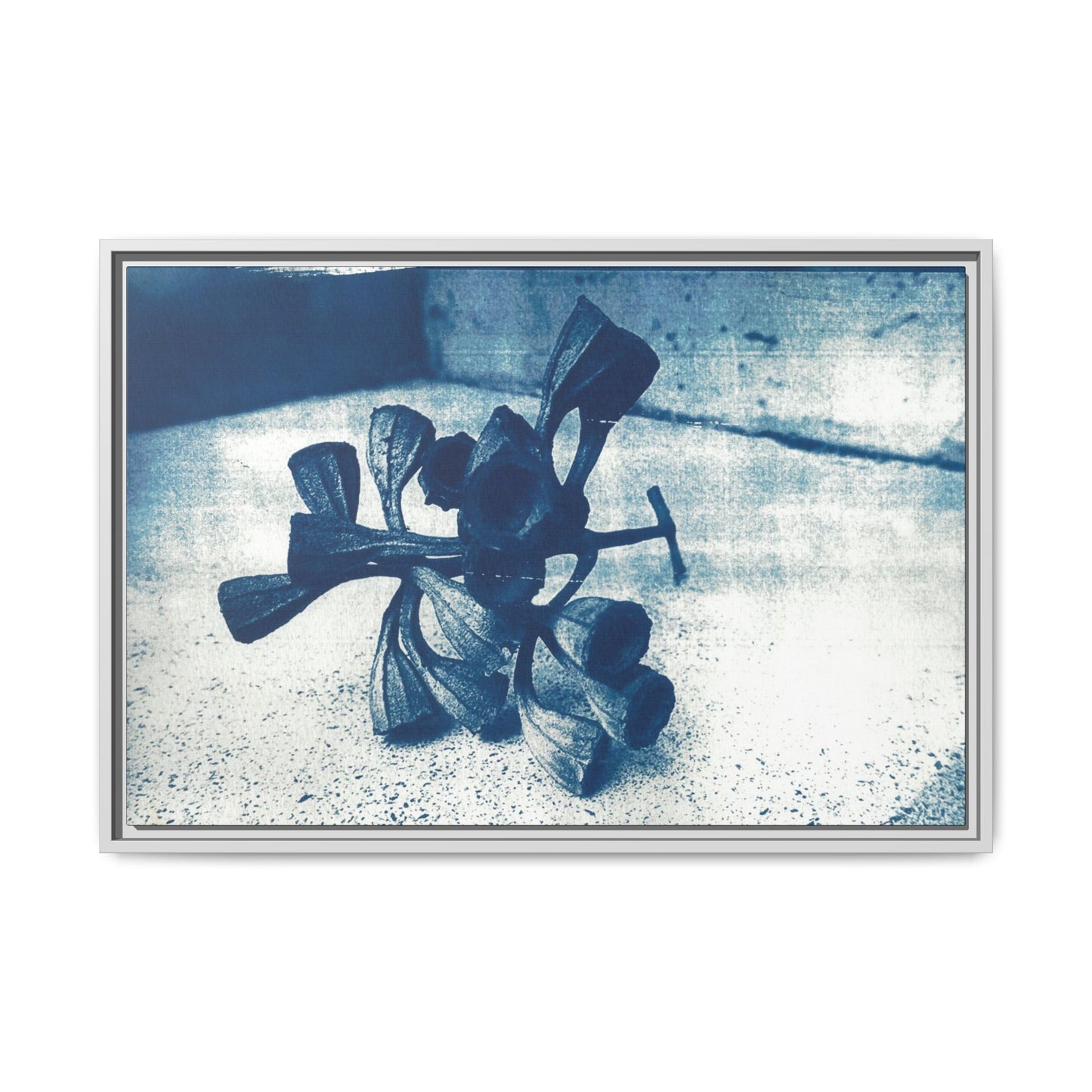 🌿 Gum Nut Form – Cyanotype Botanical Art by Wendy Seymour