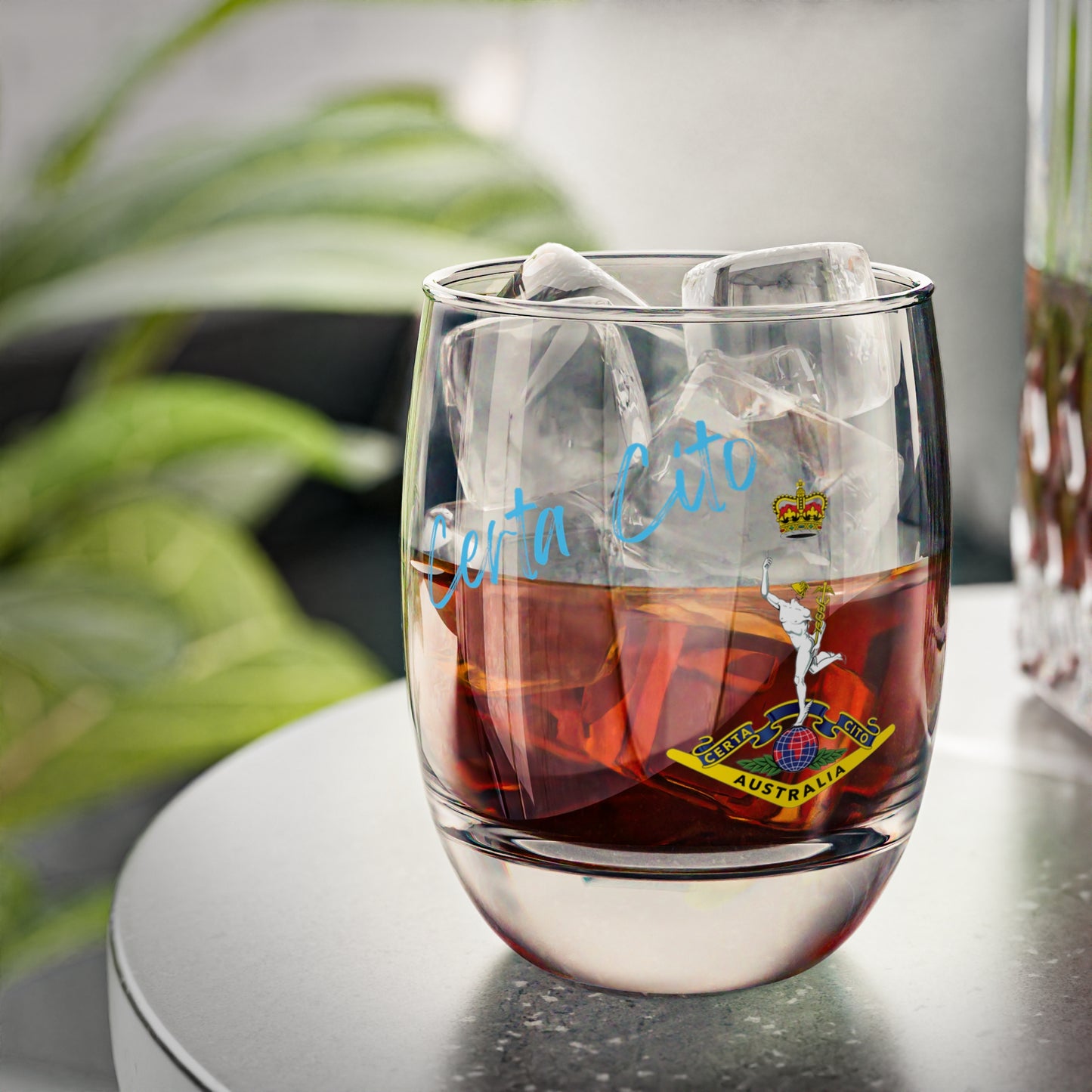 RASIGS Whiskey Glass