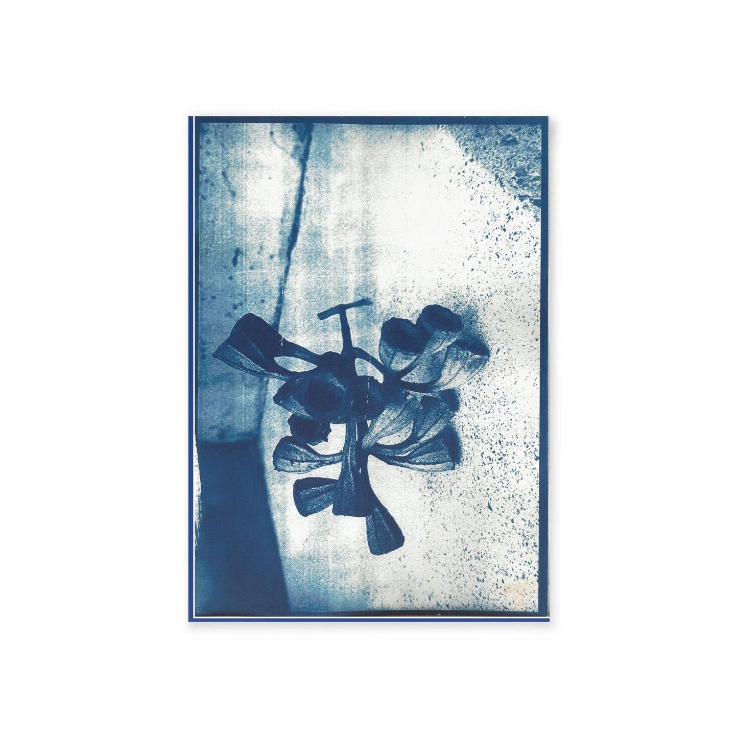 🌿 Artistic One-Sided Holiday Cards – Botanical Cyanotype Edition
