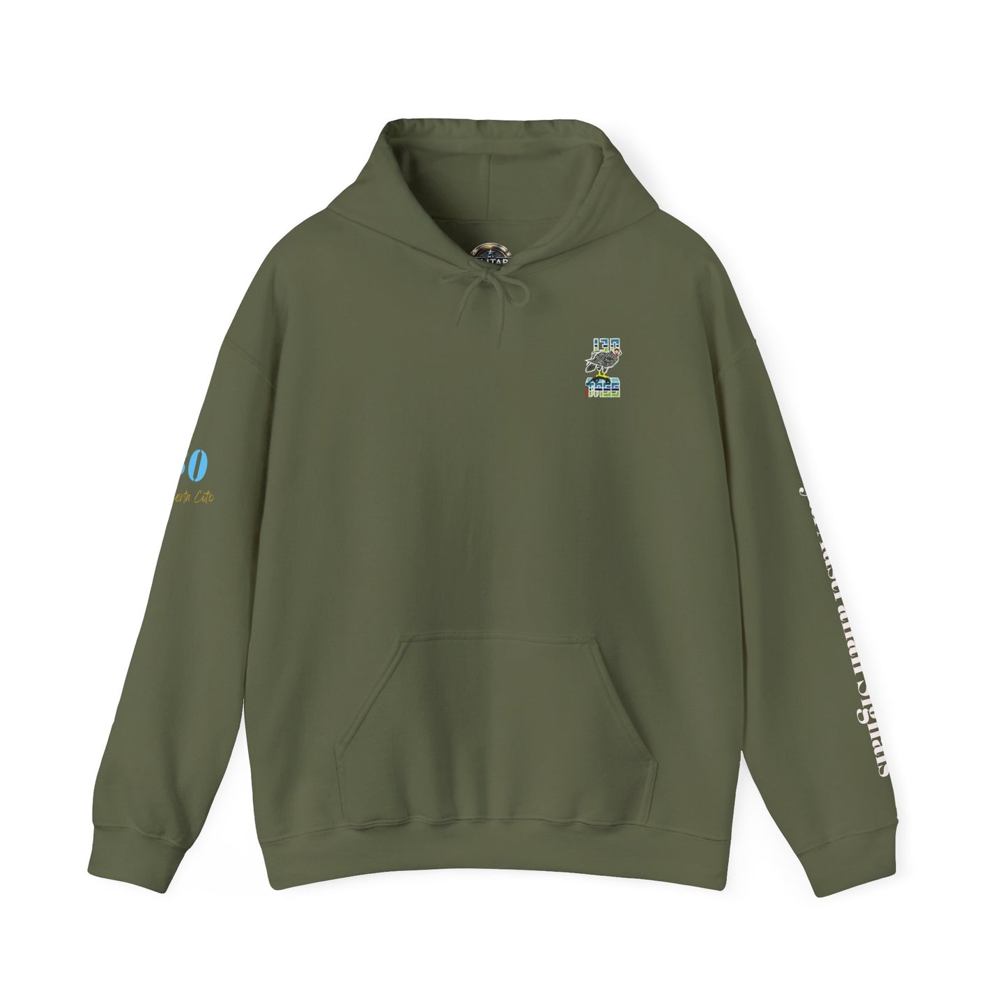 130 SIG SQN 100-Year Anniversary Hoodie – Certa Cito