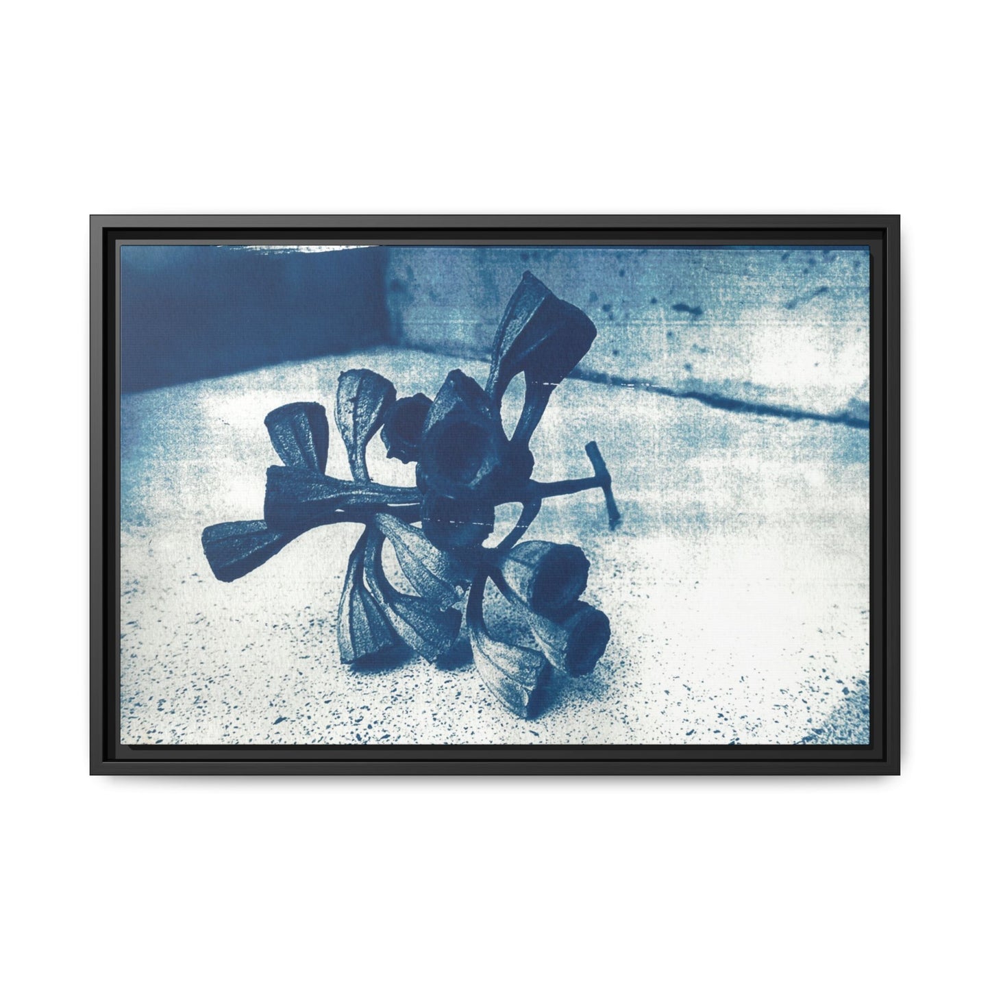 🌿 Gum Nut Form – Cyanotype Botanical Art by Wendy Seymour