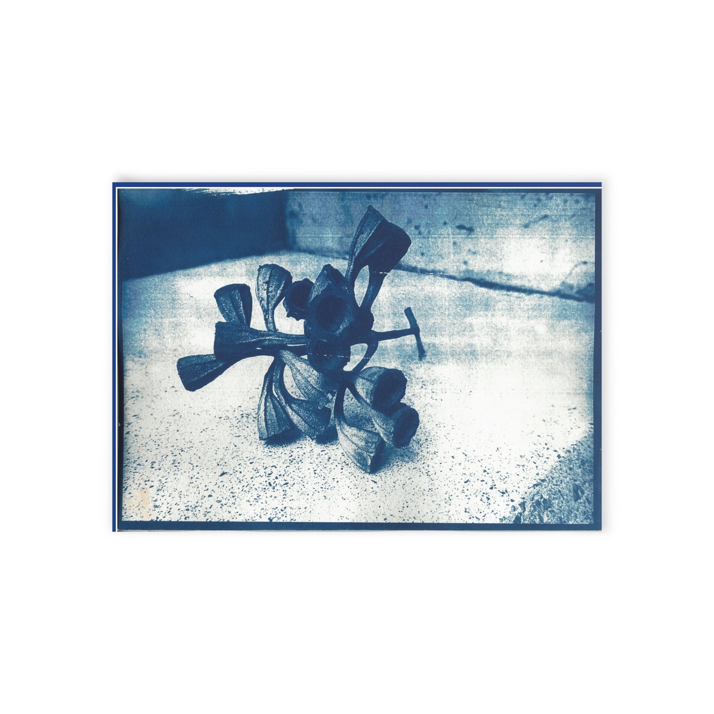 🌿 Artistic One-Sided Holiday Cards – Botanical Cyanotype Edition