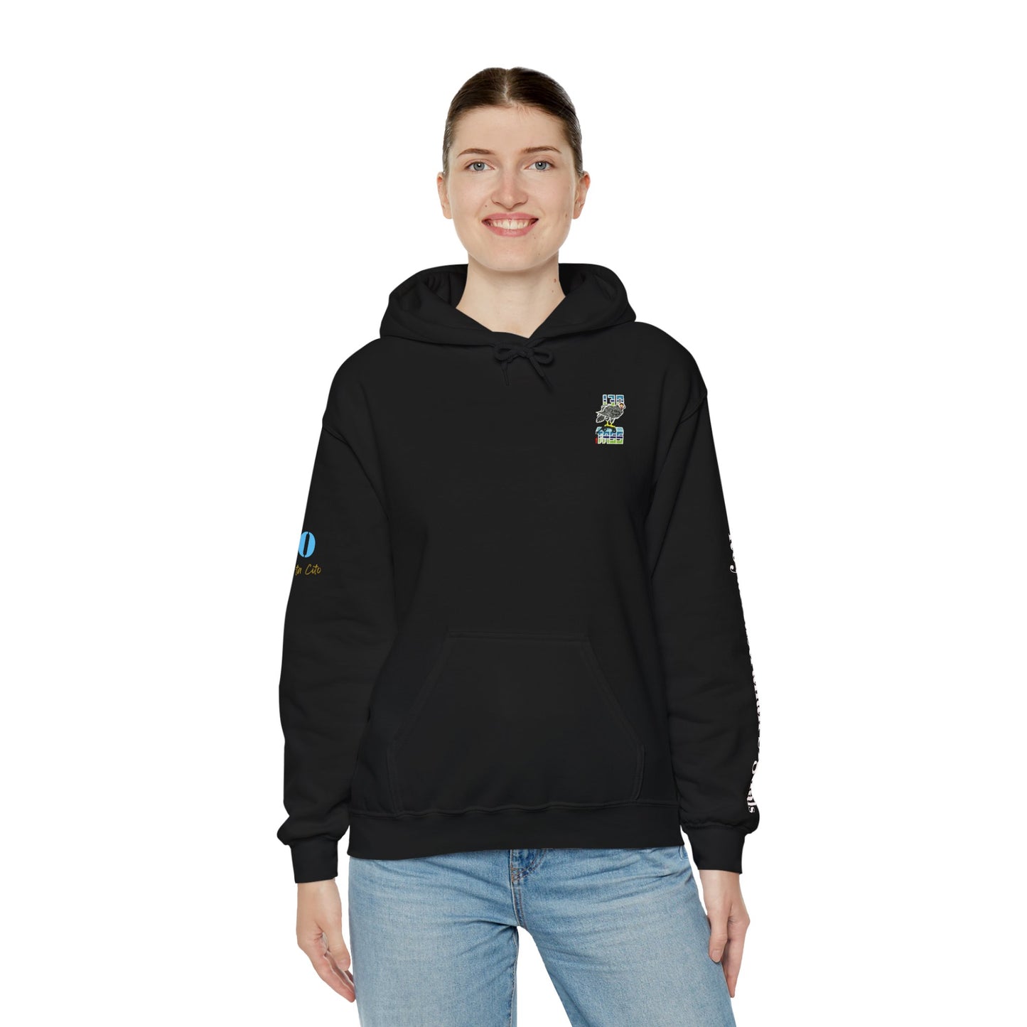 130 SIG SQN 100-Year Anniversary Hoodie – Certa Cito