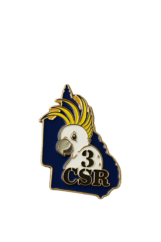 3rd COMBAT SIGNAL REGIMENT – HARD ENAMEL LAPEL PIN 📡
