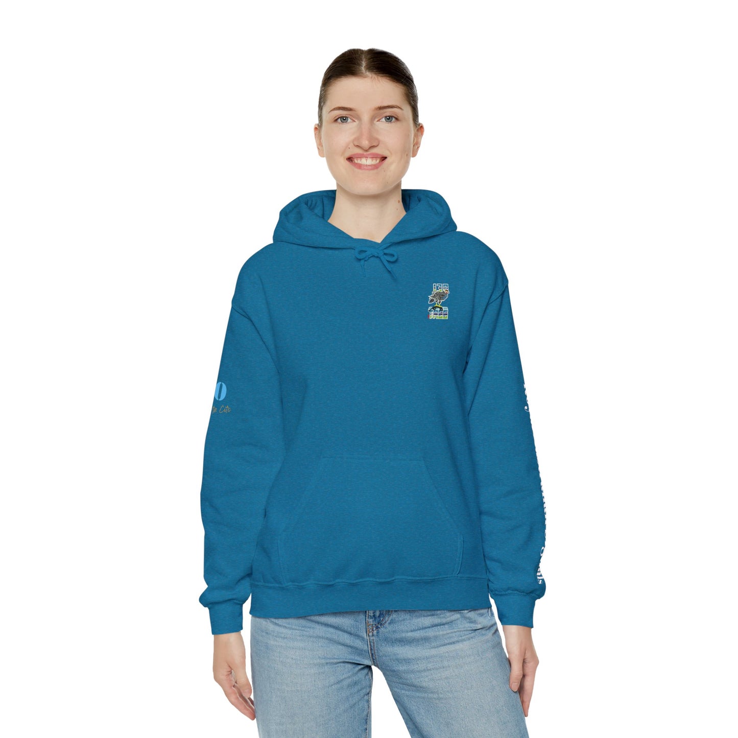 130 SIG SQN 100-Year Anniversary Hoodie – Certa Cito
