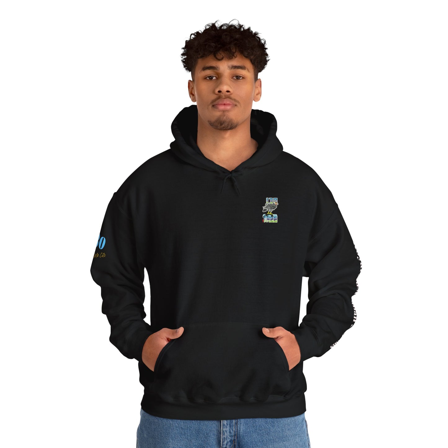 130 SIG SQN 100-Year Anniversary Hoodie – Certa Cito