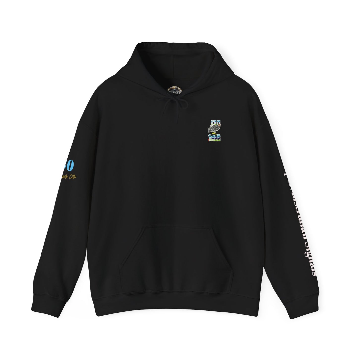 130 SIG SQN 100-Year Anniversary Hoodie – Certa Cito