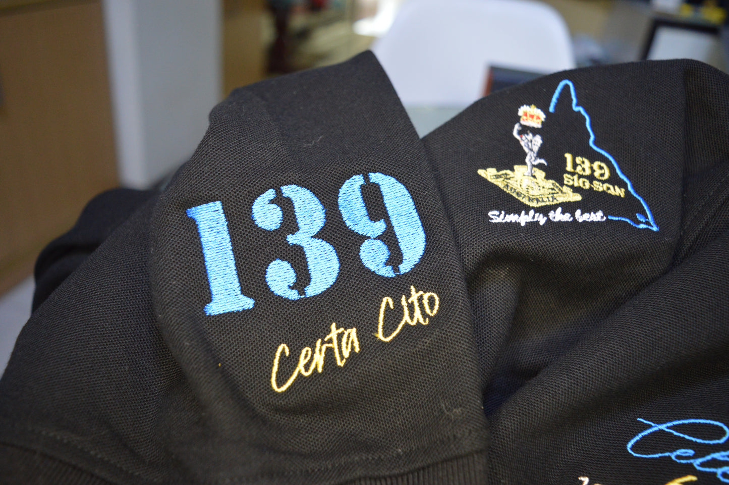 139 SIG SQN - Celebrate 60 Years of Excellence – 1965–2025