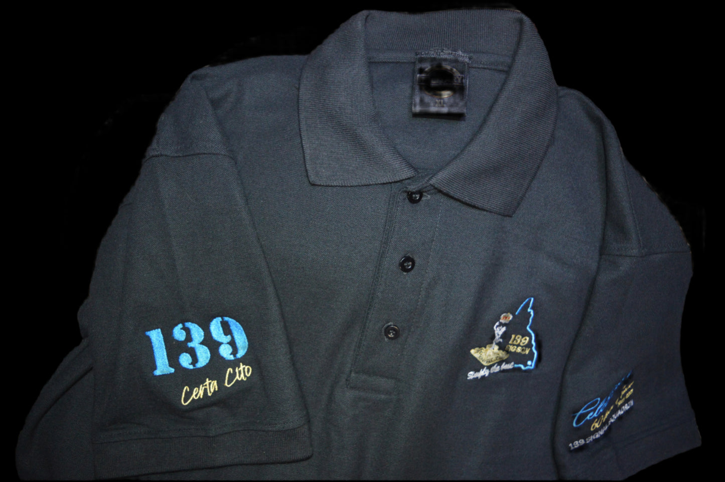 139 SIG SQN - Celebrate 60 Years of Excellence – 1965–2025