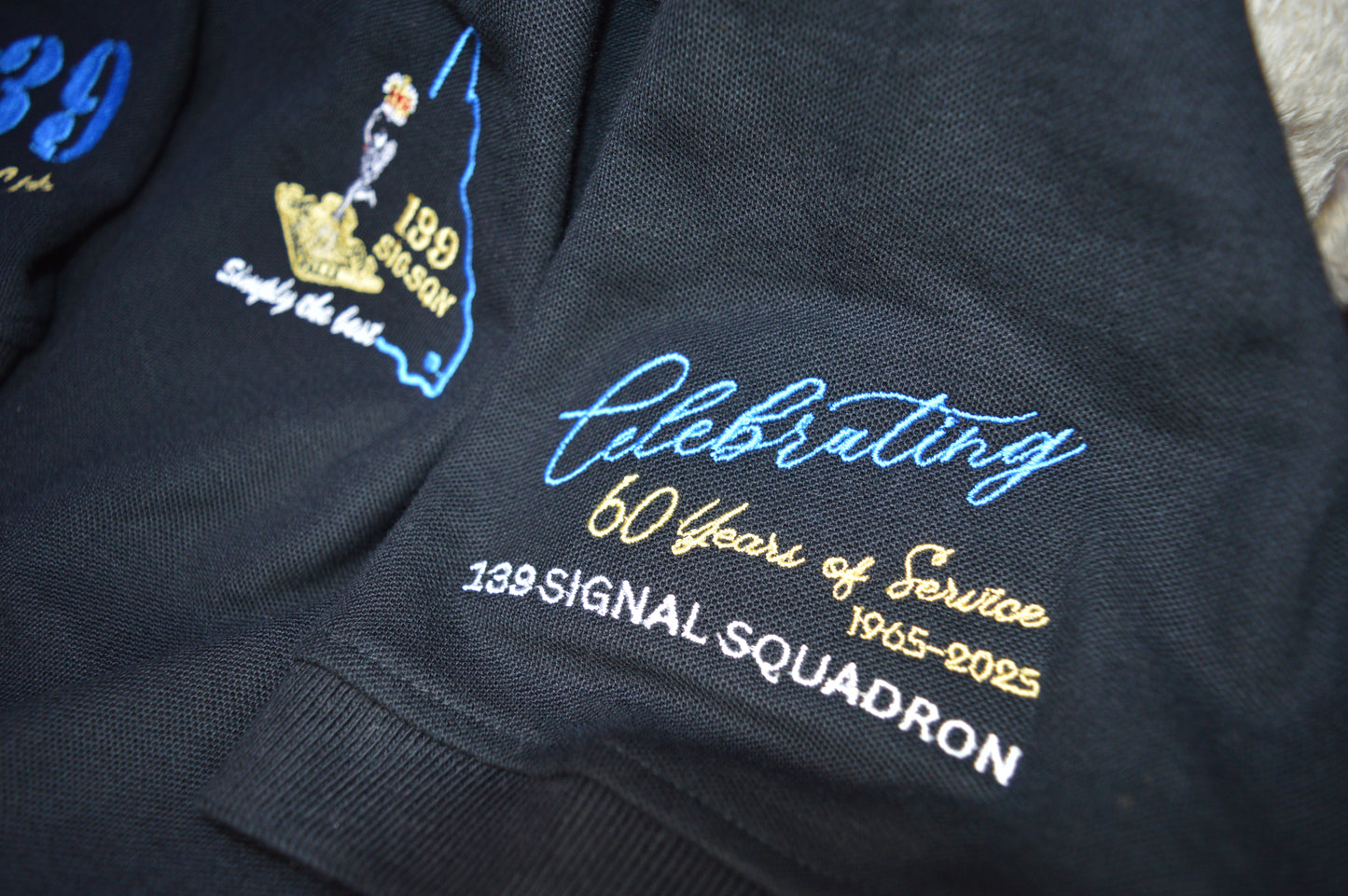 139 SIG SQN - Celebrate 60 Years of Excellence – 1965–2025